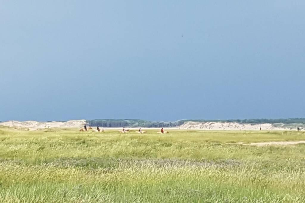 La Cabane Des Dunes A Fort-Mahon Plage Buitenkant foto