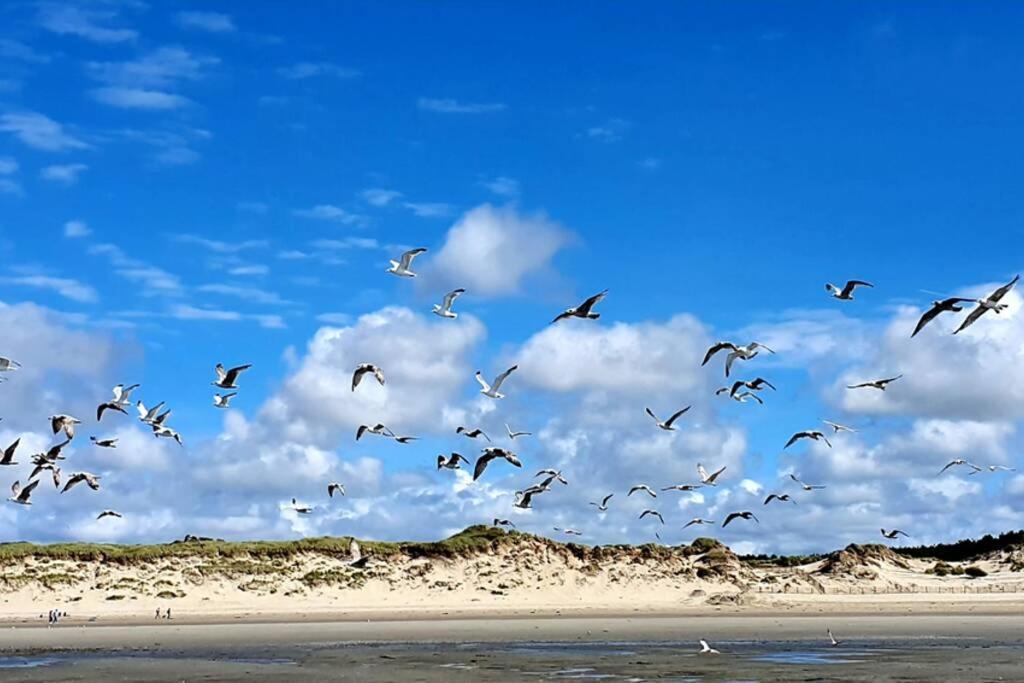 La Cabane Des Dunes A Fort-Mahon Plage Buitenkant foto